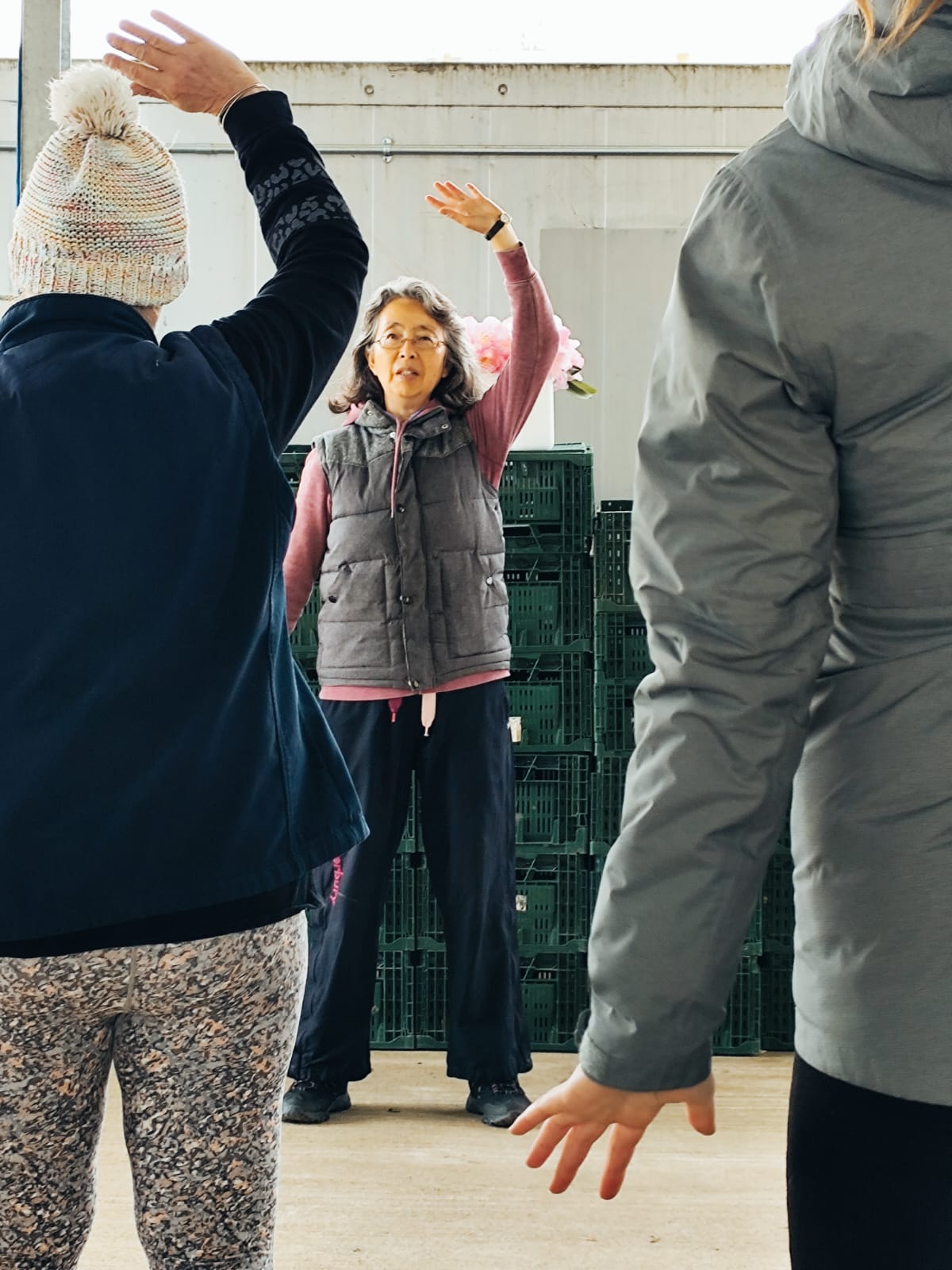 Tai Chi for Health tai chi 1