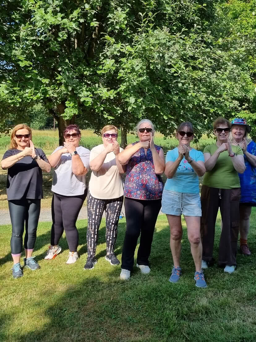 Tai Chi for Health tai chi 2