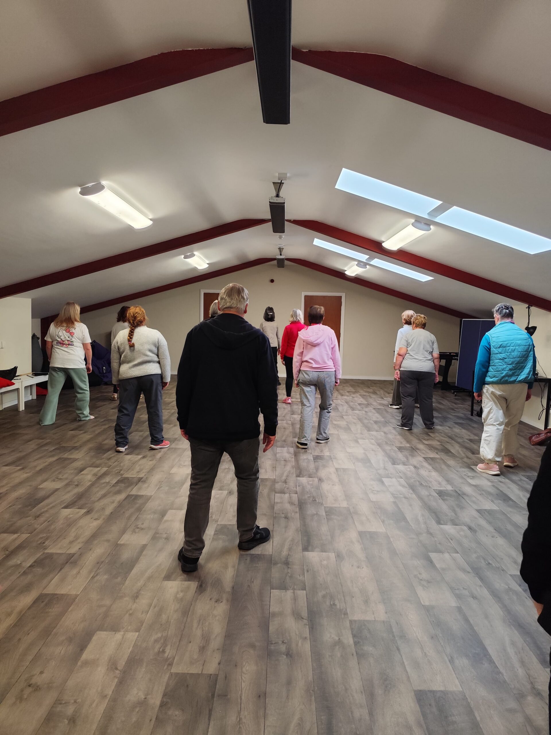 Tai Chi for Health tai chi 3